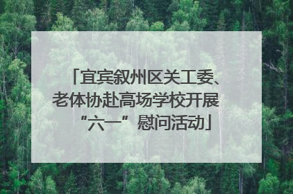 宜宾叙州区关工委、老体协赴高场学校开展“六一”慰问活动